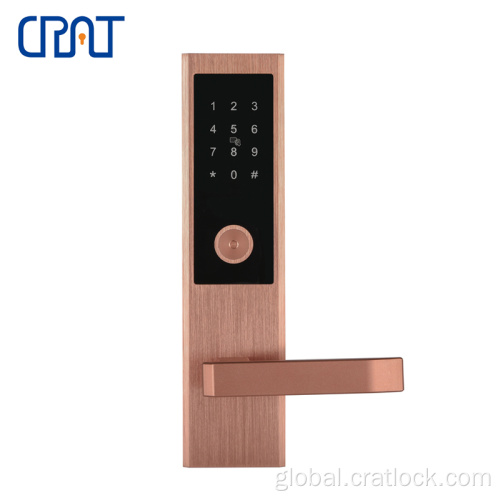 Apartment Door Lock Modern Design Security Digital Fingerprint Apartment Lock Manufactory